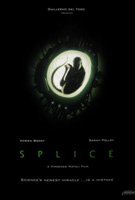 Splice